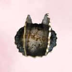 Black Gold Napkin Holder - Image 3