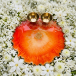 Reddish Orange with Ganesha at the Centre Pooja Thali - Image 2
