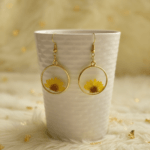 Round Real Pressed Daisy Earrings - Image 3